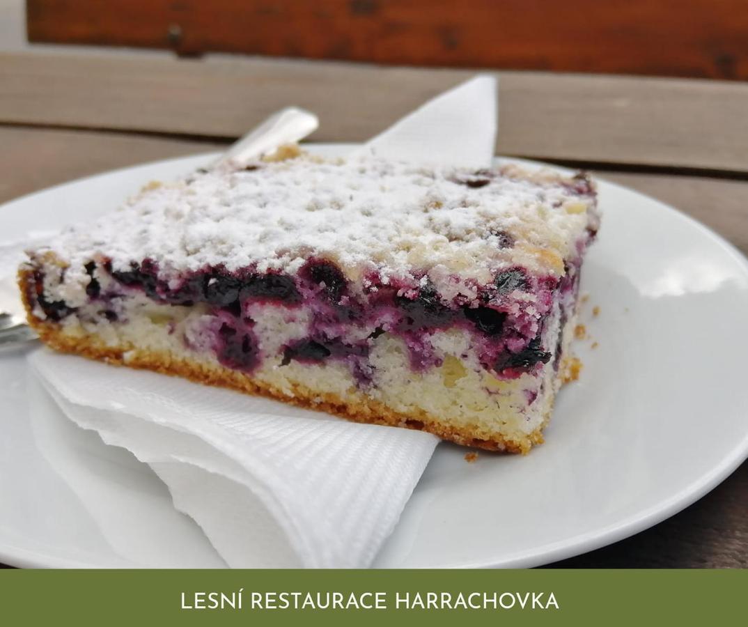 Lesni Restaurace Harrachovka Otel Tábor Dış mekan fotoğraf